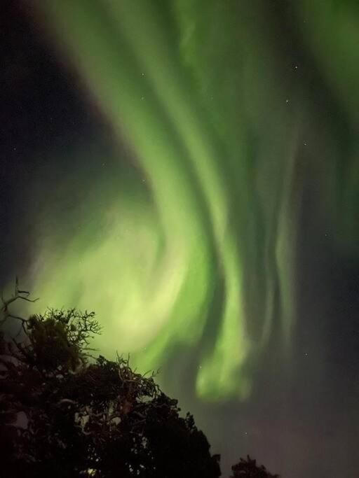 Apartamento Leilighet I Rolig Gate Med Utsikt Og Gratis Parkering Tromsø Exterior foto