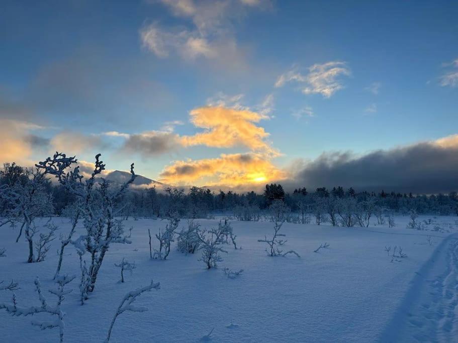 Apartamento Leilighet I Rolig Gate Med Utsikt Og Gratis Parkering Tromsø Exterior foto